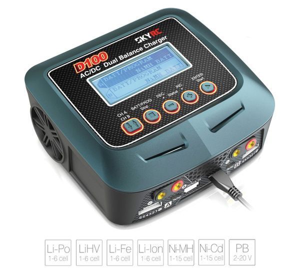 Зарядное устройство дуо SkyRC D100 (Оригинал) SK-100089 фото